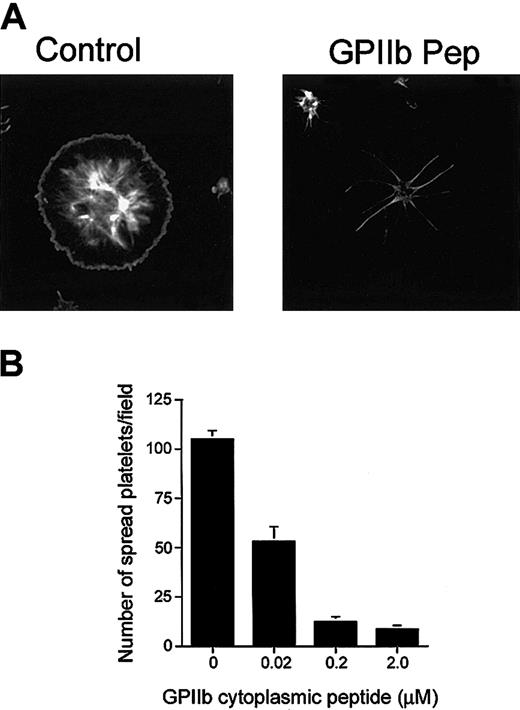 Figure 5. Inhibition of platelet spreading by incorporation of GPIIb peptide. (A) Confocal images of washed platelets allowed to spread on Fg for 45 minutes and stained for F-actin. Platelets treated with DMSO alone (control) spread fully. Platelets loaded with GPIIb cytoplasmic domain peptide (GPIIb Pep) showed long filopodia. Original magnification, × 600. (B) Dose-dependent inhibition of the number of fully spread platelets by GPIIb cytoplasmic peptide incorporation. Error bars indicate mean ± sem of at least 3 independent experiments.
