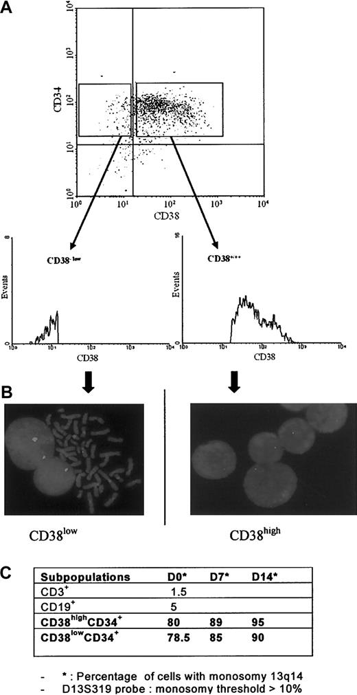 Figure 1. Patient 19: CD34+CD38high and CD34+CD38low subpopulation analyses. (A) Flow cytometry profiles; (B) FISH (lsi D13S319 Vysis probe); and (C) 13q14 deletion distribution.