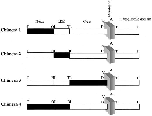 Figure 1. Schematic representation of the chimeric human/mouse GPIXs. Chimeric human/mouse GPIX constructs were generated to dissect the human GPIX into 3 domains and assess the contribution of each domain to quinine-dependent antibody binding. Figure depicts the leucine-rich motif (LRM) and the regions which precede (N) and proceed (C-ext) it. The portions shown in black are of mouse origin, whereas the white boxes denote human origin. Single-letter amino acid codes are used.