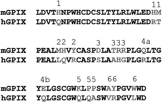 Figure 3. The hGPIX C-ext mutants. The C-ext region (aa 64-135) of mouse and human GPIX is aligned. The amino acid differences are shown in gray. Six hGPIX mutants were generated by replacing the group of amino acids labeled 1 to 6 in the human GPIX with the corresponding residues from mouse GPIX.