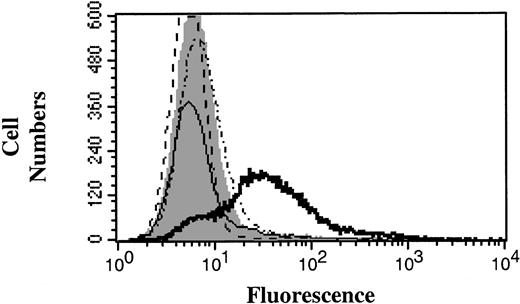Figure 4. Activity of quinine-dependent thrombocytopenia patient sera against mouse platelets. Patient sera were used in flow cytometry experiments to examine whether the reaction against human and mouse platelets could be distinguished. Figure is representative of the reaction of patient sera against human and mouse platelets. AB type sera, an isotype-matched IgG, and patient sera in the absence of quinine were used as negative controls (solid gray peak). Open histograms: dotted line indicates mouse platelets without quinine; dotted and dashed line, mouse platelets with quinine; thin solid line, human platelets without quinine; and thick solid line, human platelets with quinine.