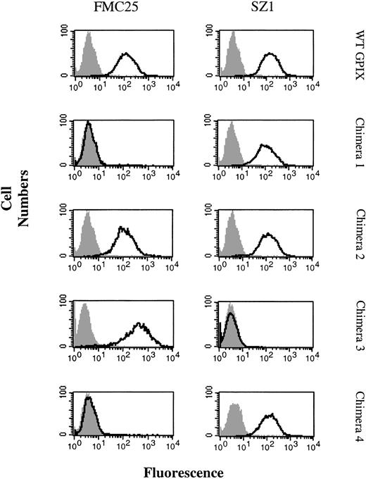 Figure 5. Binding of FMC25 and SZ1 to GPIX chimeras. The WT GPIX and the 4 human/mouse chimeras were expressed on the surface of CHOαβ cells, and the binding of anti-GPIX moAbs FMC25 and SZ1 was examined. An isotype-matched IgG was used as the negative control (gray solid histogram). Open histograms (black) depict the binding of FMC25 and SZ1 to CHOαβ cells expressing WT GPIX, chimeras 1, 2, 3, and 4.