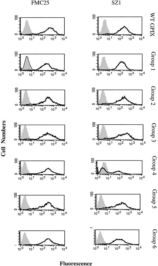 Figure 7. Reactivity of FMC25 and SZ1 against the hGPIX C-ext mutants. The WT GPIX and the 6 hGPIX C-ext mutants were expressed on the surface of CHOαβ cells, and the binding of anti-GPIX moAbs FMC25 and SZ1 was examined. An isotype-matched IgG was used as the negative control (gray solid histogram). Open histograms (black) depict the binding of FMC21 and SZ1 to CHOαβ cells expressing the mutants.