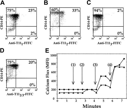 Figure 1. Phenotypic and functional mapping of the CD2 antigen on pDCs. CD14+ Mx's were enriched from PBMCs by negative selection and were negative for CD3, CD19, and CD56. The remaining population was more than 93% positive for CD14 (A-D). The Mx cells were further stained with anti-T111 (A), anti-T112 (B), or anti-T113 (C-D) mAbs. Mx's (▴) and CD3+ T cells (•) were incubated sequentially with anti-T112, anti-T113, and goat antimouse mAbs (E), and changes in intracellular Ca2+ were measured. Time represents (1) the addition of T112, (2) the addition of anti-T113, (3) the addition of goat antimouse IgG, and (4) the addition of A23187 Ca2+ ionophore. The results are representative of 3 experiments.
