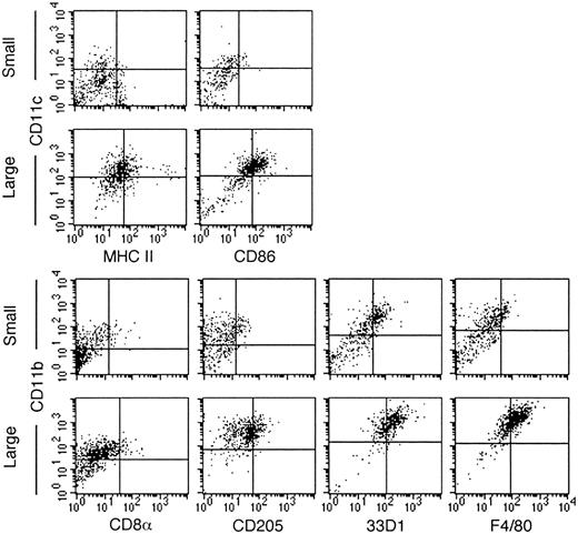 Figure 1. LTC-DCs resemble CD8α– myeloid-like DCs. Cells were labeled with antibodies specific for DC markers using an indirect 2-color staining technique. Cells were separated into small and large LTC-DC subsets using postacquisitional gating based on forward scatter and side scatter. Quadrants distinguishing positively and negatively staining cells were placed to represent background staining with only labeled conjugate. Data are representative of many separate experiments. The quadrants for CD8α are set at a lower intensity because acquisition was performed using lower FL1 and FL2 voltages than were used for other markers.