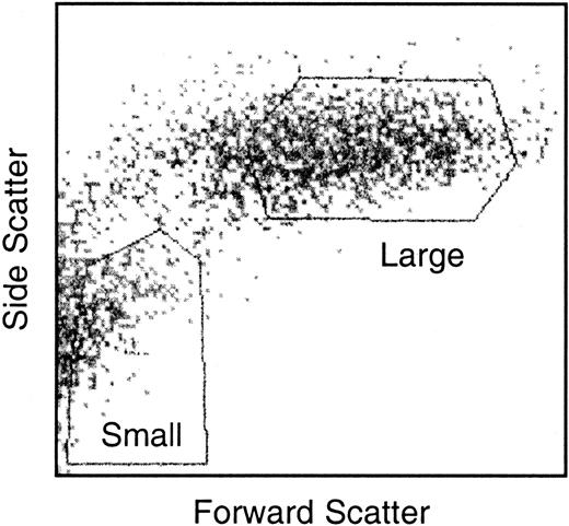 Figure 2. Gates used to sort nonadherent LTC-DCs into small and large cell subsets. Nonadherent cells were sorted in HBSS/5% FCS/1% glutamine and were collected in sDMEM/25% FCS. Gates shown were chosen as suitable for isolating the best yield of viable small and large LTC-DCs.