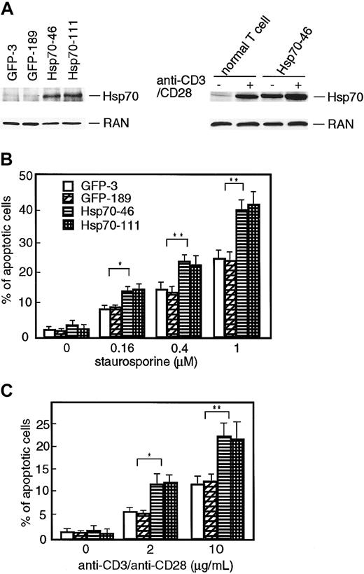 Figure 1. Ectopic expression of Hsp70 enhances staurosporine- and TCR-induced apoptotic cell death in TAg-Jurkat cells. (A) Left panel: expression of Hsp70 protein in GFP transfectants (GFP-3 and -189) and GFP-Hsp70 transfectants (Hsp70-46 and -111) was analyzed by immunobotting using anti-Hsp70 Ab. Expression of RAN (ubiquitously and abundantly expressed Ras-related nuclear protein) was assessed for a loading control. Right panel: normal T cells or one of the Hsp70 transfectants (Hsp70-46) was stimulated with or without anti-CD3/CD28 Abs. Expression of Hsp70 or RAN was analyzed as above. (B-C) Transfectants (5 × 105 cells) were cultured in the absence or presence of various amounts of staurosporine (B) or stimulated with various doses of anti-CD3/CD28 Abs (C), and percentages of apoptotic cell deaths were determined by flow cytometry after propidium iodide staining. Each value represents the mean ± SD of 3 independent experiments. *P < .05; **P < .01.