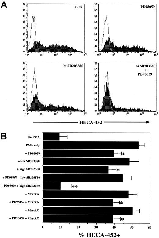Figure 2. PMA-induced FucT-VII expression is inhibited by MAPK inhibitors. JSB3 cells were stimulated with 1 nM PMA in the presence or absence of the indicated concentrations of PD98059, SB203580, MerckC, alone or in combination, and expression of FucT-VII was assessed by HECA-452 staining. (A) Representative histograms of PMA-treated JSB3 cells with no inhibitor, 50 μM PD98059, 50 μM SB203580, or both compounds. (B) Quantitative analysis of the effect of all inhibitors for all experiments (n = 19). Results are depicted as the mean ± SEM percent HECA-452+.*P < .05 versus treatment with PMA with no inhibitors; **P < .05 versus groups with a single asterisk (*).