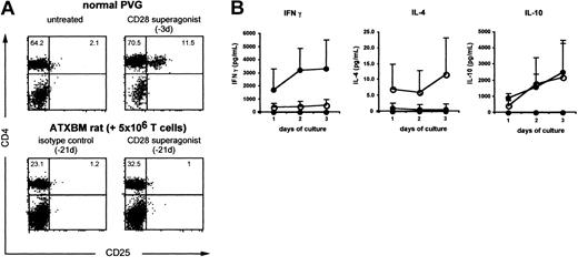 Figure 6. CD28-expanded T cells contain normal numbers of regulatory T cells. (A) Frequencies of CD4+CD25+ cells in lymph nodes of a normal PVG rat without (top left panel) and with (top right panel) a single injection of 1 mg of CD28 superagonist 3 days earlier, and in ATXBM rats reconstituted as in Figure 4 with (lower right panel) or without (lower left panel) CD28 stimulation. (B) Concanavalin A induced cytokine production by lymph node cells from T-cell reconstituted ATXBM rats reconstituted with (○) or without (•) CD28 stimulation. Unstimulated controls contained no detectable cytokines. Means and SDs are shown.
