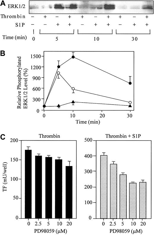 Figure 8. Thrombin and S1P synergistically induce ERK1/2 phosphorylation, and PD98059 reduces the synergistic induction of TF. (A) ECs were treated with or without 10 nM thrombin, 4 μM S1P, or 10 nM thrombin plus 4 μM S1P for 5, 10, and 30 minutes. The cells were then harvested and processed for Western blotting with antibodies to phospho-ERK1/2. (B) The data in panel A were densitometrically quantified and are expressed as the percentage of the control (basal phospho-ERK1/2 in the absence of thrombin and S1P). The values represent the means ± SDs of 3 independent experiments. (C) ECs were pretreated for 20 minutes with indicated concentrations of PD98059 prior to incubation with thrombin (4 nM) or thrombin (1 nM) plus S1P (4 μM). These data represent the means ± SDs of 4 independent experiments with 2 points per condition.
