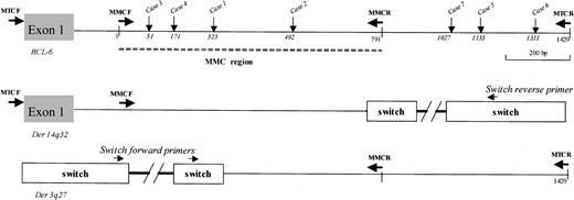 Figure 1. Schematic representation of the first BCL-6 intron and derivative chromosomes after t(3;14) translocation. Breakpoints on der(3q27) are indicated (vertical arrows) for each case and located according to the MMC germ line sequence (GenBank accession no. AF191831). MTC or MMC forward (F) and reverse (R) primers, previously designed,9,16 were used to amplify the junction site and the translocated allele in combination with Switch μ or Switch γ primers (Sμ 01F 5′-ggcaatgagatggctttagctg, Sμ 02F 5′-tgggctgagcaggttgtac, Sμ 01R 5′-tgccatgtccttccagttcatcc, SγF 5′-gggcagaatggtcataat, SγR 5′-atgttctcccctgttccctgag). To exclusively amplify the untranslocated allele, MTC or MMC primers spanning the breakpoints were used under PCR conditions identical to those used for amplification of the BCL6-IgH junctions.