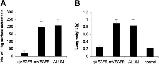 Figure 3. Inhibition of the formation and growth of lung metastases in mouse CT26 colon adenocarcinoma. Mice were immunized as described, and 5 × 105 CT26 cells were then injected into tail vein 1 week after the fourth immunization. The experiment was terminated after 18 days when control mice became moribund, and lungs were weighed and assessed for the presence of surface metastasis. qVEGFR vaccine can decrease the number of surface metastases (A) and abolish tumor burden by rendering the weight of lungs similar to that of no-intervention mice (normal) (B). Values are plotted as mean ± SEM (P < .01).