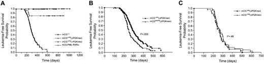 Figure 2. Development of acute myeloid leukemia in transgenic and knock-in animals. (A) Kaplan-Meier probability of leukemia-free survival of wild-type (CG+/+; ▪), mCG+/PR (+PGK-neo; g▾), and mCG+/PR (ΔPGK-neo; ▴) animals is plotted against time and is compared with leukemia-free survival of a simultaneous cohort of hCG–PML-RARα animals from line no. 134 (the same data were used in Pollock et al6; ♦). The number of mice in each cohort was as follows: CG+/+ = 25; mCG+/PR (+PGK-neo) = 26; mCG+/PR (ΔPGK-neo) = 118; hCG-PR = 27. (B) Kaplan-Meier probability of leukemia-free survival of heterozygous mCG+/PR (ΔPGK-neo; ▪) versus homozygous (mCGPR/PR; ▴) animals is plotted against time. The difference between the curves is statistically significant (P = .002). mCG+/PR (ΔPGK-neo) = 118 mice; mCGPR/PR (ΔPGK-neo) = 99 mice. (C) Kaplan-Meier probability of leukemia-free survival of animals carrying a single PML-RARα gene copy together with either an intact CG gene (CG+/PR; ▴) or a null mutation (CG–/PR; ▪) at the other allele is plotted against time. The differences between the curves are not statistically significant (P = .48). mCG+/PR (ΔPGK-neo) = 60 mice; mCG–/PR (ΔPGK-neo) = 71 mice.