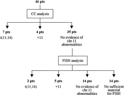 Figure 1. Results of FISH analysis and/or conventional cytogenetics in 46 patients with de novo MM who were investigated for 11q abnormalities. +11 indicates trisomy 11.