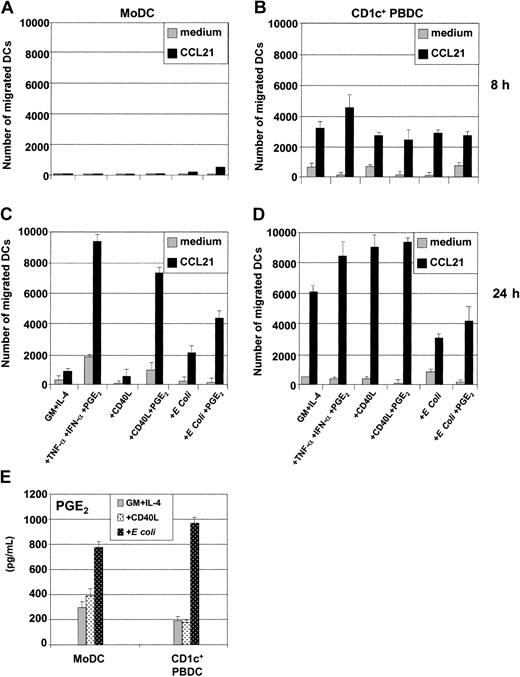 Figure 5. Migratory capacity of immature and mature MoDCs and CD1c+ PBDCs. Immature MoDCs (GM-CSF plus IL-4); freshly sorted CD1c+ PBDCs, or CD1c+ PBDCs were stimulated for 8 hours (A-B) or 24 hours (C-D) with TNF-α plus IFN-α plus PGE2, with CD40L in the presence or absence of PGE2, or with intact E coli in the presence or absence of PGE2. These were then loaded into the upper transwell chambers and examined for their capacity to migrate toward either medium alone or CCL21 present in the lower transwell chambers. The y-axis shows the number of DCs migrating through the transwell membrane (8 μm) after 2 hours. Data in panels A-D are representative of 4 separate experiments. (E) Secretion of PGE2 by unstimulated or stimulated MoDCs or CD1c+ PBDCs. Data are representative of 5 separate experiments.