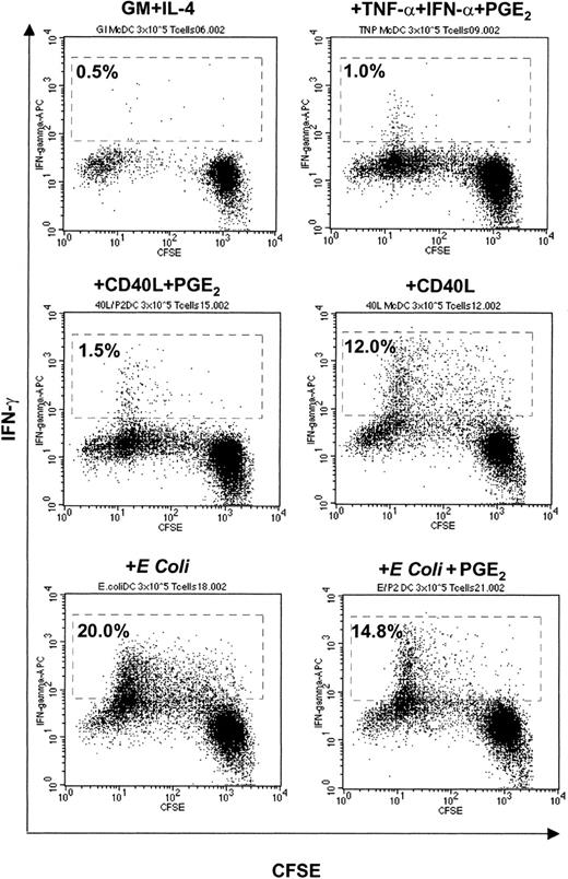 Figure 7. Induction of T-cell proliferation and IFN-γ secretion by immature and mature MoDCs. Immature MoDCs (GM-CSF plus IL-4) were stimulated for 2 days with the indicated stimuli and used as stimulators (3 × 104) of CFSE-labeled CD3+ alloreactive T cells (3 × 105) in the MLR. On day 5 of the MLR, T cells were restimulated with the identically conditioned MoDCs for 8 hours in the presence of Brefeldin A, and CD4+ T cells were assessed for intracellular IFN-γ secretion and proliferation by FACS analysis by gating on CD3+CD8– T cells. Percentages indicate the percent IFN-γ+CD4+ T cells within the gated region. Data are representative of experiments from 7 separate donors. Similar profiles were observed when CD3+CD8+ T cells were examined.