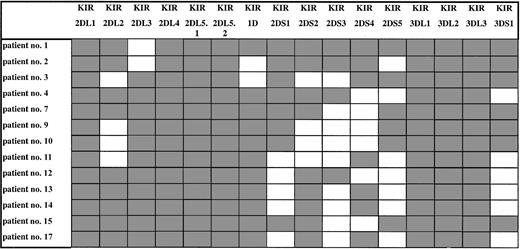 Figure 3. KIR gene profiles in LDGL patients. Ten distinct KIR gene profiles were detected in NK-LDGL patients based on the presence (shaded box) or the absence (white box) of individual KIR genes.