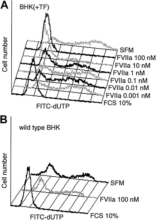 Figure 3. Antiapoptotic effect of FVIIa. (A) Monolayers of BHK(+TF) cells were exposed to SFM or the SFM supplemented with varying concentrations of FVIIa or serum (10% vol/vol) for 24 hours. At the end of the incubation period, fragmented DNA was labeled with TUNEL and detected by flow cytometry. (B) Wild-type BHK cells were exposed for 48 hours to SFM alone or to the medium supplemented with serum (10% vol/vol) or FVIIa (100 nM). At the end of the incubation period, cells were processed for TUNEL assay as described for panel A. Figures show a representative experiment (n = 3).