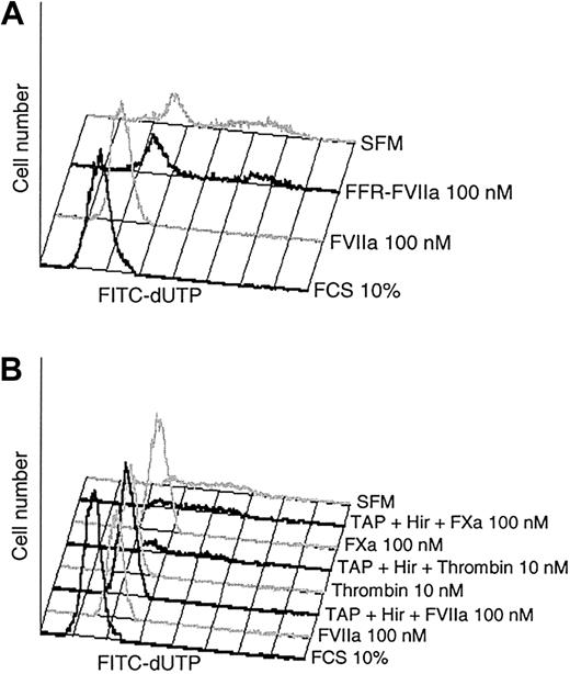 Figure 4. Proteolytic activity of FVIIa is mandatory for the antiapoptotic effect. (A) Monolayers of BHK(+TF) cells were incubated in SFM alone or the SFM supplemented with FCS (10% vol/vol), FVIIa (100 nM), or FFR-FVIIa (100 nM). At the end of the 24-hour incubation period, cells were processed for TUNEL assay. (B) Monolayers of BHK(+TF) cells were incubated in SFM medium alone or the SFM supplemented with FVIIa (100 nM), FXa (100 nM), or thrombin (10 nM) in the presence and absence of specific inhibitors, hirudin (25 U/mL), and TAP (200 nM). The inhibitors were added to the cells 30 minutes prior to the protease. At the end of 24 hours, the cells were processed for TUNEL assay. Each panel shows a representative experiment (n = 3).