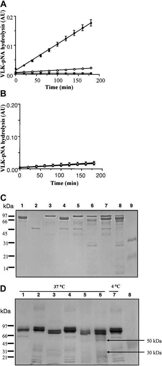 Figure 4. Effect of p97 on pro-uPA, tPA, and plasminogen. The serine activity of 90 nM pro-uPA (A) and 75 nM tPA (B) were measured in the absence (○) or presence (•) of 70 nM p97 without plasminogen. The reaction was performed in a final volume of 200 μL as described in “Materials and methods.” In both panels A and B, controls were also performed with p97 (▪) but without pro-uPA or tPA (n = 9 for pro-uPA; n = 6 for tPA). (C) The effect of p97 on pro-uPA was evaluated after incubation in the presence or absence of plasminogen. 2 μg p97 (lane 1), 1 μg pro-uPA (lane 2), and 2 μg plasminogen (lane 3) were incubated for 5 minutes at 37°C alone as controls. Pro-uPA (2 μg) was incubated at 37°C for 5 minutes with 2 μg p97 (lane 4). Plasminogen and pro-uPA were added without incubation (lane 5) and with 5 minutes' incubation at 37°C (lane 6). Pro-uPA with 2 μg of both p97 and plasminogen was added without incubation (lane 7) or with 5 minutes' incubation at 37°C (lane 8). Tc-uPA (2 μg) was also loaded as a control (lane 9). Proteins were then separated by SDS-PAGE, using a 12.5% acrylamide gel under reducing conditions. After electrophoresis, proteins were visualized by staining the gel with Coomassie blue. (D) Effect of p97 on plasminogen degradation by pro-uPA. Quantities (3 μg) of p97 (lane 1), Glu-plasminogen (lane 2), and Lys-plasminogen (lane 3) were incubated alone for 6 hours at 37°C. In lane 4, 3 μg of both glu-plasminogen and p97 was also incubated for 6 hours at 37°C. Pro-uPA (20 ng) was added to plasminogen for the same period of incubation at 37°C (lane 5). p97 was added to pro-uPA and plasminogen for 6 hours at 37°C (lane 6) or 4°C (lane 7). In lane 8, 3 μg angiostatin was also added as a control. Proteins were then separated by SDS-PAGE, using a 7.5% acrylamide gel under nonreducing conditions. After electrophoresis, proteins were visualized by staining the gel with Coomassie blue.