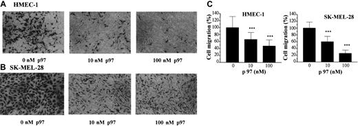 Figure 7. Effect of exogenous p97 on cell migration and plasminolytic activity. HMEC-1 (A) and SK-MEL-28 (B) cell migration was performed using modified Boyden chambers as described in “Materials and methods.” Cells that had migrated in the presence or absence of p97 (100 nM) to the lower surface of the filters were fixed and stained with crystal violet. Photos (orginial magnification, × 100) obtained from a representative experiment are shown. (C) Cells that had migrated were also counted and expressed as a percentage of the control cells, measured in the absence of p97 (n = 4 for HMEC-1; n = 3 for SK-MEL28). Data represent means ± SDs. ***P < .01 (student t test).