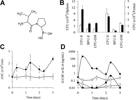 Figure 1. PT-100 stimulates hematopoiesis in normal mice. (A) Structure of PT-100. (B) Levels of erythroid and myeloid CFUs (×10–4) in BALB/c mice after oral administration of saline (□) or 5 μg PT-100 (▪) twice daily for 5 days. Erythroid and myeloid CFUs in spleens and BM were assayed as described in “Materials and methods.” CFU-Es were observed after 2 to 3 days in culture, whereas BFU-Es and CFU-GMs were observed after 7 to 9 days. Data are expressed as mean splenic CFCs ± SEM of 3 independent experiments (n = 11-12 mice/treatment group) and mean BM CFCs ± SEM of 2 experiments (n = 7-8 mice/treatment group). (C) Changes in ANCs in mice administered saline (○) or 20 μg PT-100 (•) orally and twice daily. ANCs were determined by standard differential counting. Data are expressed as the mean ± SD of 5 mice/group, using discrete groups at each point in time. Changes in ANCs are representative of 2 independent experiments. (D) Changes in serum G-CSF (○,•) and IL-6 (□,▪) levels in mice administered saline (open symbols) or PT-100 (filled symbols) as described in panel C. Serum cytokine levels were determined by ELISA, and data are expressed as mean ± SD from 5 mice/group. Changes in G-CSF and IL-6 levels are representative of 3 independent experiments.