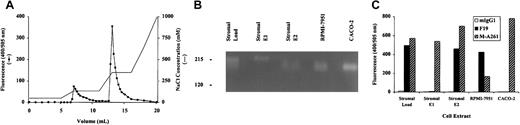 Figure 5. Characterization of human BM stromal cell dipeptidyl peptidases. Stromal cell extracts were separated by ion-exchange chromatography into 2 fractions, E1 and E2, each containing dipeptidyl peptidase activity (A). Dipeptidyl peptidase activity eluted from the column was detected by florigenic assay with 0.1 mM Ala-Pro-AFC, and SDS-PAGE of unboiled samples identified dipeptidyl peptidases of approximately 220 kDa and 170 kDa in E1 and E2, respectively. In contrast, unfractionated stromal extract contained dipeptidyl peptidases of both molecular sizes and RPMI-7951 and CACO-2 cell lines contained only the 170-kDa dipeptidyl peptidase (B). The same samples were immunoprecipitated with mAb F19, M-A261, or a mouse IgG1 isotype control, and the immunoprecipitates were assayed for dipeptidyl peptidase activity (C). Data in panels A-C were representative of 7 independent human stromal cell cultures.