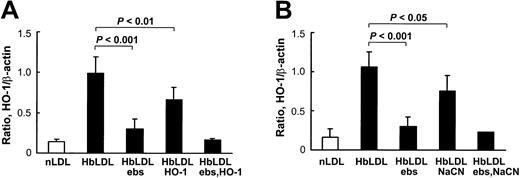 Figure 6. Inhibition of HO-1 induction in RAECs. (A) Effect of pretreatment of HbLDL by ebselen and HO-1 enzyme. (B) Effect of pretreatment of HbLDL by ebselen and NaCN. HbLDL samples were pretreated with ebselen or HO-1 enzyme or NaCN to respectively reduce LOOH and degrade/inhibit heme. The LDL was then added to cells for 24 hours and HO-1 levels were analyzed as described. Details of pretreatment conditions are provided in “Materials and methods.”
