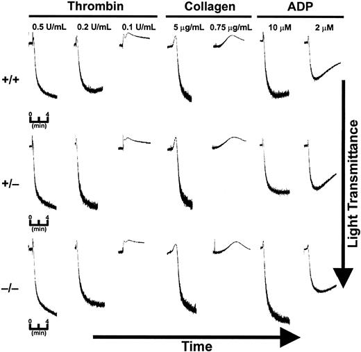 Figure 5. Aggregation is normal in platelets from cellubrevin/VAMP-3 knockout mice. PRP was prepared from wild-type (+/+), heterozygous (+/–), and cellubrevin/VAMP-3 knockout mice (–/–) and diluted to a final concentration of 0.09% sodium citrate as described in “Materials and methods.” PRP was preincubated with 1 mM CaCl2 at 37°C for 5 minutes prior to incubation with agonist as indicated.