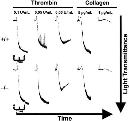 Figure 6. Washed platelets from cellubrevin/VAMP-3 knockout mice show normal aggregation. Washed platelets from wild-type (+/+) and cellubrevin/VAMP-3 knockout mice (–/–) were collected from citrated PRP by centrifugation and resuspended in HEPES/Tyrode buffer to a concentration of 3.5 × 105 platelets/μL. Platelets were incubated at 37°C for 5 minutes prior to addition of agonist. Aggregation was measured as an increase in light transmission versus time.