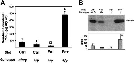 Figure 1. Iron content is increased in enterocytes from sla and iron-overload mice and decreased in iron-deficient mice. (A) Nonheme iron concentration of enterocytes from sla mice fed control diet (sla) and C57BL/6J mice fed control (Ctrl), iron-deficient (Fe–), or iron-overload (Fe+) diets for 6 months. Data are expressed as micrograms Fe/g dry weight basis and each bar represents the mean ± SD of 6 determinations. Bars with different symbols are significantly different at P < .05. Enterocyte nonheme iron was significantly changed in the different groups. The enterocytes in the sla group had higher nonheme iron than the Ctrl and Fe– groups. The Fe– group had the lowest nonheme iron level. (B) Ferritin levels in enterocytes. Enterocyte lysates were probed with an antiserum directed against ferritin H and L chains. Relative ferritin levels were quantified using NIH Image and represented as relative densitometric units (RDU). Data are means ± SD as percent control from 5 independent experiments. *P < .05 versus control.