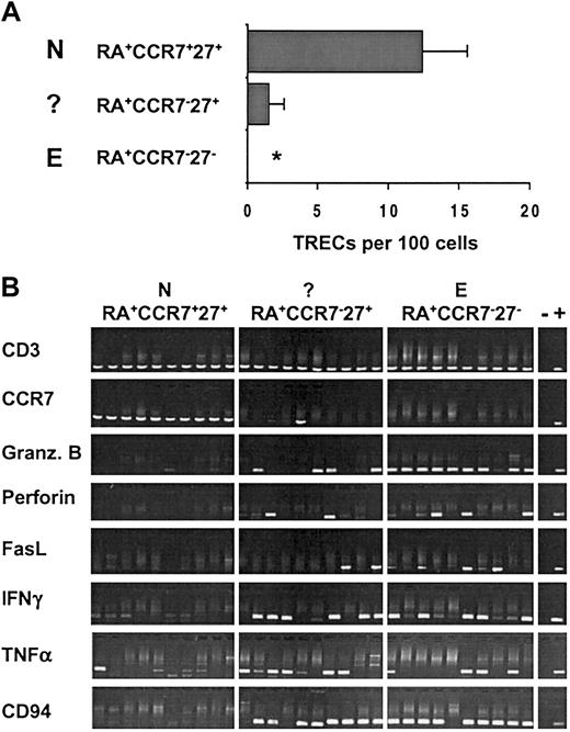 Figure 2. The RA+CCR7–27+ T-cell subset contains reduced but detectable TREC levels and expresses genes associated with effector functions. (A) Real-time PCR quantification of TRECs was performed on sorted RA+CCR7+27+ (N), RA+CCR7–27+ (?), and RA+CCR7–27– (E) CD8+ T subsets from 8 healthy young individuals (age range, 20-36 years). Asterisk indicates not detectable (sorted cell number was 5 × 104 to 105, lower quantification limit = 0.01%-0.02%). (B) Gene expression analysis was performed on sorted N, (?), and E CD8+ T cells using a modified RT-PCR protocol (see “Materials and methods”). Data from 10 independent 5-cell aliquots as well as negative (–) and positive (+) controls are depicted. Comparable results were obtained in 5 healthy individuals.