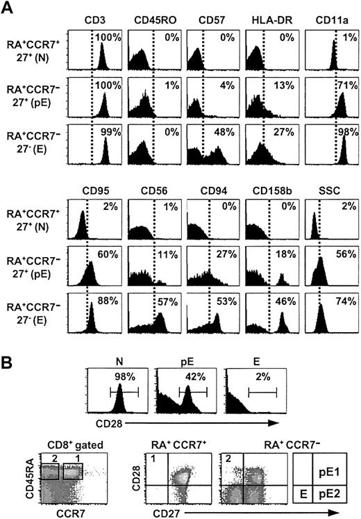Figure 3. Expression of cell surface molecules. (A) The pE T-cell subset shares cell surface molecules with effector T lymphocytes. Purified CD8 T cells were stained with CD8, CCR7, CD45RA, CD27 mAbs and other mAbs as indicated. Histograms show the proportion of positive cells among RA+CCR7+27+ (N), RA+CCR7–27+ (pE), and RA+CCR7–27– (E) gated subsets. These results were consistent in 8 healthy individuals. Note that our experimental procedure (see “Materials and methods” for details) to analyze N, pE, and E CD8 T subpopulations allows the exclusion of any residual contaminating NK cells as shown by anti-CD3 costaining. (B) Analysis of CD28 expression on N, pE, and E CD8+ T-cell subsets. Naive and effector T cells displayed, respectively, RA+CCR7+27+28+ and RA+CCR7–27–28– phenotypes. In contrast, the pE CD8 subset contained CD28+ as well as CD28– cells. Accordingly, pE T cells are split into pE1 (RA+CCR7–27+28+) and pE2 (RA+CCR7–27+28–) subsets.