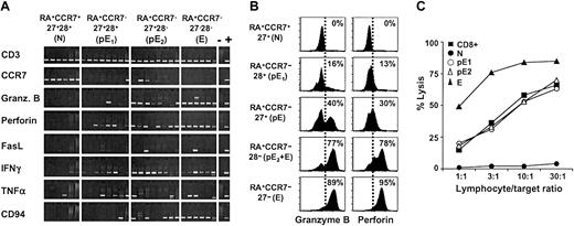 Figure 4. Expression of effector mediators in pE1 and pE2 T cells. (A) Gene expression analysis was performed on sorted RA+CCR7+27+28+ (N), RA+CCR7–27+28+ (pE1), RA+CCR7–27+28– (pE2), and RA+CCR7–27–28– (E) CD8+ T cells by RT-PCR. The same set of primers as described in Figure 2B was used. Data from 6 or 8 independent 5-cell aliquots are shown. These results are representative of 2 healthy individuals; (–), negative; (+), positive controls. (B) The proportion of granzyme B–positive or perforin-positive cells among N (27+), pE1 (28+), pE (27+), pE2 + E (28–), and E (27–) T cells was determined by immunofluorescence. The pE population includes pE1 (27+28+) and pE2 (27+28–) T cells. Note that the perforin signal is considerably lower in pE than in E cells. (C) Ex vivo–sorted CD8+,N,pE1,pE2, and E T cells were tested in a redirected cytolytic assay against 51Cr-labeled P815 target cells. The pE and E subsets were unable to lyse P815 cells in the absence of CD3 mAbs (lysis ≥ 2%, data not shown). Data are representative of 2 healthy donors.