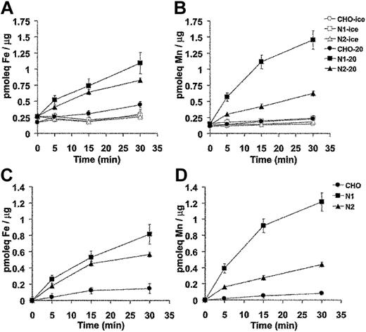 Figure 6. Time and temperature dependence of Mn2+ and Fe2+ transport by Nramp1HA and Nramp2HA measured by a radioisotopic uptake assay. Incorporation of 55Fe2+ (A) and 54Mn2+ (B) into CHO control cells, and Nramp1HA expressing (clone N1-94) or Nramp2 HA expressing (clone N2-310a) CHO cell transfectants was measured as described in “Materials and methods.” Briefly, cells were resuspended in transport buffer (107 cells/1.5 mL), and transport was initiated by addition of 1 mL of radioisotope buffer containing tracer amounts of either 54Mn2+ (total Mn2+ concentration of 9 μM) or 55Fe2+ (total Fe2+ concentration of 9 μM), followed by a 30-minute incubation at 20°C. At predetermined time points (0, 5, 15, 30 minutes), metal accumulation was calculated and expressed as picomolar equivalents (pmoleq) divalent-metal/μg total cellular protein as shown in panels A (Fe2+) and B (Mn2+), which represent the average (with standard error) from 3 or 4 independent experiments. Parallel experiments were conducted at 4°C to establish the temperature-independent component of cell-associated radioactivity (binding). These values were subtracted from the 20°C accumulation data to deduce net uptake values, which are shown in panels C (Fe2+) and D (Mn2+).