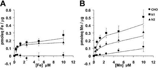 Figure 7. Divalent-metal selectivity of Nramp1HA and Nramp2HA. The divalent-metal selectivity of Nramp1HA and Nramp2HA was compared in dose-response experiments. Transfected CHO cell lines N1-94 (Nramp1HA) and N2-310a (Nramp2HA), along with untransfected CHO cells, were resuspended in transport buffer (3 × 106 cells/0.375 mL), and transport was initiated by addition of an equal volume of radioisotope buffer containing tracer amounts of 55Fe2+ (A) or 54Mn2+ (B), followed by incubation at 20°C. The final concentration of Fe2+ and Mn2+ in the transport reaction was varied between 0.31 μM and 10 μM total divalent metal (by 2-fold serial dilution), while the specific radioactivity of each was held constant. For Fe2+ transport buffer, a 50:1 molar excess of ascorbate to Fe2+ was used and kept constant at each Fe2+ concentration. Transport was allowed to proceed for 10 minutes at 20°C, and cell-associated radioactivity was determined as described in “Materials and methods” and in the legend to Figure 6. Parallel transport assays were conducted at 4°C, and these values were subtracted from those obtained at 20°C to determine the net amount of metal uptake, which is expressed as pmoleq of divalent-metal/μg of total cellular protein.