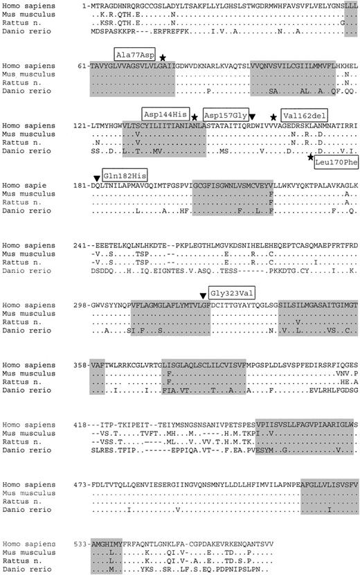 Figure 3. Alignment of the amino acid sequence for ferroportin from different species. Alignment was performed using a Dbclustal program at the IGBMC web site (Strasbourg) and SPTREMBL sequences for homo sapiens (Q9NP59), mus musculus (Q9JH19), rattus norvegicus (Q923U9), and Danio rerio (Q8JFW0). Positions of the previously described human and zebra fish mutations (*) and of the new mutations reported in this paper (▾) are indicated, together with the corresponding amino acid change. Transmembrane domains as they have been predicted by Devalia et al13 appear as shaded areas. Numbers refer to the amino acids from the human sequence.