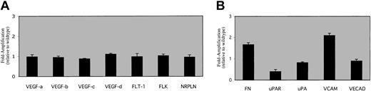Figure 5. Molecular studies. RT-PCR data were obtained as described using EPAS1/HIF-2α null bone marrow cDNA and graphed relative to the wild-type gene of interest signal (set at one). The data are presented for a panel of genes involved in (A) VEGF production (VEGF A, B, C, D)and VEGF signaling (Flt-1, Flk-1, Nrpln), or (B) endothelial cell signaling (FN, uPAR, uPA, VCAM, VECAD), as well as the internal control (β-actin). Differences in FN, uPAR, and VCAM levels were all significant for P < .05 as assessed by 2-tailed t test. No other significant differences between genotypes were noted for the other gene products. Error bars indicate SEM.