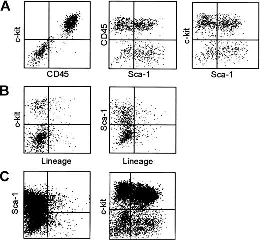 Figure 2. Surface phenotype of HF-derived leukocytes. (A-B) Cells harvested from 5-week-old HF cultures by vigorous pipetting were subjected to 3-color FACS analyses for CD45, c-kit, and Sca-1 (A) and for Lin, c-kit, and Sca-1 (B). (C) Cells harvested from 3-week-old HF cultures were stained for Lin, c-kit, and Sca-1. The data indicate the expression profiles for Lin and Sca-1 in nongated populations (left) and for Sca-1 and c-kit in the Lin– populations (right). The results shown in this figure are representative of 5 (A-B) or 3 independent experiments (C).