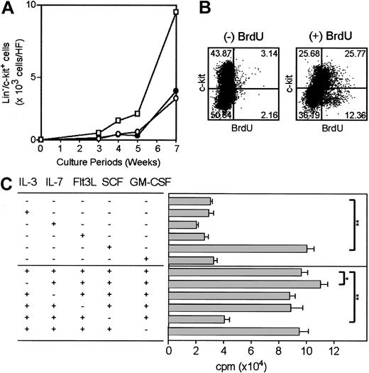 Figure 3. Proliferative potential of HF-derived leukocytes. (A) Large numbers of HF cultures were established in parallel from the intermediate fragments of vibrissal follicles and multiple HF cultures (3-20 in total at each time point) were harvested at the indicated time points. These samples were stained for Lin, c-kit, and Sca-1 to determine the numbers of total Lin–/c-kit+ cells (squares), Lin–/c-kit+/Sca-1+ cells (closed circles), and Lin–/c-kit+/Sca-1– cells (open circles). (B) HF cultures (6-week-old) were double-stained with anti-BrdU mAb and anti–c-kit mAb after 60 minutes of incubation with or without BrdU. (C) Loosely adherent cells were harvested from 5-week-old HF cultures by gentle pipetting and were examined for their proliferative responses to the indicated growth factors. Data shown are the means ± SD of 3H-thymidine uptake (n = 3; *P < .05; **P < .01) on day 3. Results shown in this figure are representative of 2 independent experiments.