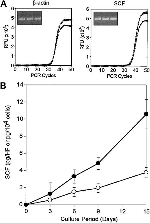 Figure 10. Local production of SCF in the HF microenvironment. (A) Triplicate total RNA samples isolated from vibrissal follicles were subjected to real-time RT-PCR analysis for β-actin and SCF. The curves represent relative fluorescence intensities of the resulting PCR products after indicated cycles of amplification. Inserts indicate PCR products after 50 cycles after ethidium bromide staining. (B) Vibrissal follicle samples (•) or HF-derived CD45– fibroblasts (○) were cultured for the indicated periods and culture supernatants were then examined for SCF by ELISA. Data shown are the means ± SDs from triplicate cultures. Results shown in this figure are representative of 3 (A) or 2 (B) independent experiments.