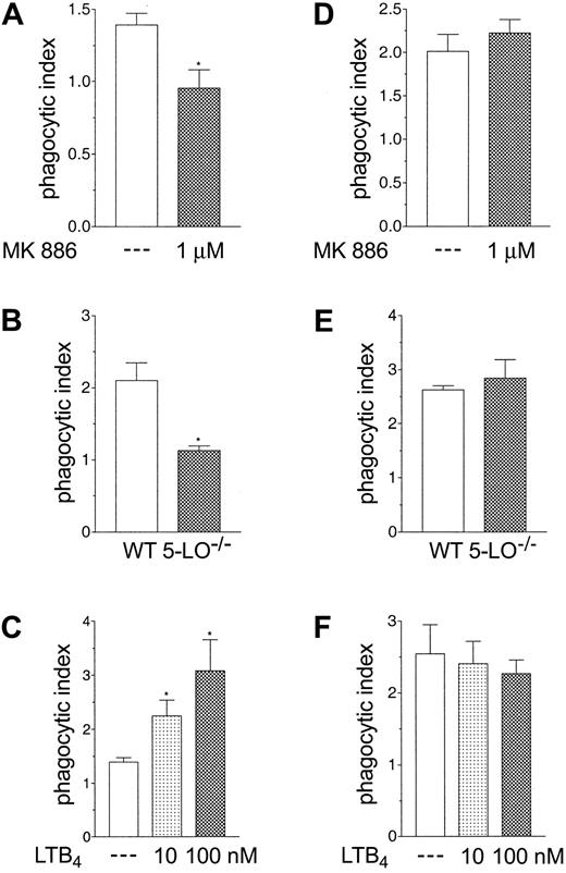 Figure 1. LTB4 modulates phagocytosis of IgG-SRBCs but not apoptotic cells. Mouse peritoneal macrophages were pretreated in the absence (open bars) or presence of MK 886 (1 μM; 10 minutes) or LTB4 (10 and 100 nM; 2 minutes) prior to the addition of IgG-SRBCs (panels A and C) or apoptotic thymocytes (panels D and F), respectively. Peritoneal macrophages harvested from WT or 5-LO gene knockout mice (5-LO–/–) were challenged with IgG-SRBCs (B) or apoptotic thymocytes (E). *P < .05 compared with respective controls (ANOVA followed by Bonferroni t test). Results are the mean ± SEM of triplicate determinations from n = 2-3 separate experiments.
