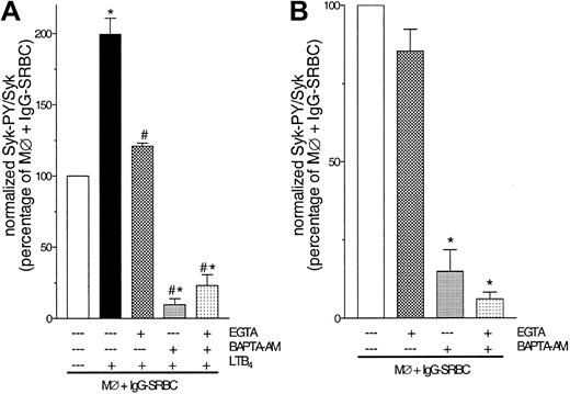 Figure 6. FcγR-mediated Syk activation as well as LTB4 amplification are Ca2+ regulated. (A) Rat alveolar macrophages were pretreated with EGTA (10 mM), BAPTA-am (50 μM), or both for 30 minutes prior to addition of LTB4 (10 nM). Two minutes after LTB4 treatment, the cells were challenged with IgG-SRBCs (1:33 ratio) and then incubated for 7 minutes at 37°C. *P < .05 compared with IgG-SRBC group and #P < .05 compared with IgG-SRBC plus LTB4 group (ANOVA followed by Bonferroni t test). (B) Rat alveolar macrophages were pretreated with EGTA (10 mM), BAPTA-am (50 μM), or both for 30 minutes prior to IgG-SRBC challenge. Incubations were terminated by addition of lysis buffer, and lysates were subjected to immunoprecipitation and immunoblotting as described in “Materials and methods.” Data are given as mean ± SEM. *P < .05 compared with IgG-SRBC group (ANOVA followed by Bonferroni t test). Results are representative of 3 separate experiments.