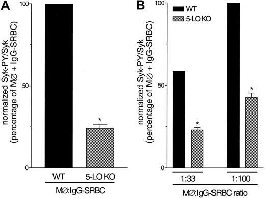 Figure 8. Effect of 5-LO gene knockout in FcγR-mediated Syk activation. (A) Alveolar macrophages harvested from WT and 5-LO KO mice were challenged with IgG-SRBC (1:100 ratio) and then incubated for 7 minutes at 37°C. (B) Peritoneal macrophages harvested from WT and 5-LO KO mice were challenged with IgG-SRBCs (1:33 and 1:100 ratio) and then incubated for 7 minutes at 37°C. Incubations were terminated by addition of lysis buffer, and lysates were subjected to immunoprecipitation and immunoblotting as described in “Materials and methods.” Data are given as means ± SEMs. *P < .05 compared with WT group (ANOVA followed by Bonferroni t test). Results are representative of 3 separate experiments.