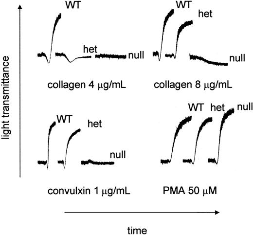 Figure 3. Aberrant collagen and convulxin-induced aggregation in GP VInull mice. Blood was withdrawn from GP VIWT, GP VIhet, and GP VInull mice. Mouse platelet-rich plasma was obtained by pooling blood from animals with the same genotype. The platelet number in each sample was normalized to 240 × 109/L with platelet-poor plasma. Indicated concentrations of acid-insoluble fibrillar collagen (type I), convulxin, and PMA were added to stirred platelets and the aggregation profiles are presented.