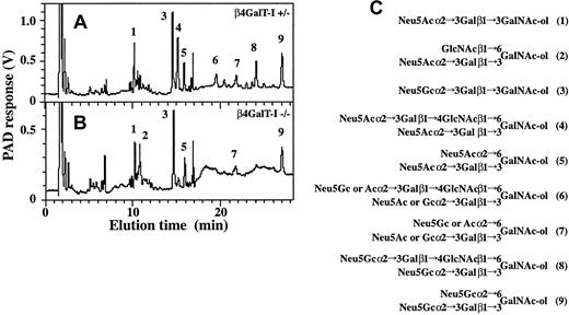 Figure 2. Analysis of O-glycans by HPAEC-PAD. Glycans released by alkaline-borohydride treatment from delipidated splenocyte membrane glycoproteins were analyzed by HPAEC-PAD. (A) β4GalT-I+/– splenocytes. (B) β4GalT-I–/– splenocytes. (C) Proposed structures of the O-glycans (A-B). The major glycan peaks are numbered in panels A and B, and the numbers in parentheses in panel C represent the peak numbers in panels A and B.