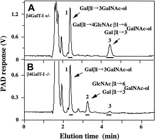 Figure 3. Analysis of desialylated O-glycans by HPAEC-PAD. Desialylated O-glycans from splenocyte membrane glycoproteins were analyzed by HPAEC-PAD. (A) β4GalT-I+/– splenocytes. (B) β4GalT-I–/– splenocytes. The major glycan peaks are numbered (A-B), and their proposed structures are given in the figure.