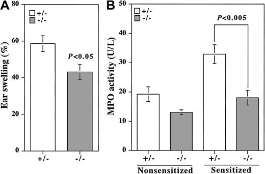 Figure 7. CHS response induced by TNCB. (A) CHS response was induced by TNCB in TNCB-sensitized β4GalT-I+/– (□;n = 11) and β4GalT-I–/– (▦; n = 11) mice. Ear swelling was calculated as described in “Materials and methods.” (B) MPO activity in the CHS-induced earlobe. TNCB-sensitized or nonsensitized β4GalT-I+/– (□) and β4GalT-I–/– (▦) mice were treated with TNCB, and the MPO activity in the earlobe homogenates was measured. Data are presented as means ± SEM.