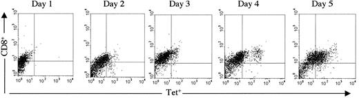Figure 4. KS tumor lysate stimulates KSHV-specific CD8 T cells. KSHV–tetramer-positive, CD8+ CTLs increased in number during each day of an SLR (in an HLA-A*201–positive patient, patient 2). In this experiment, monocyte-derived DCs were pulsed with tumor lysate before pulsing of autologous T cells. The double-positive population increased from 0.02% on day 1 to 38% on day 5.