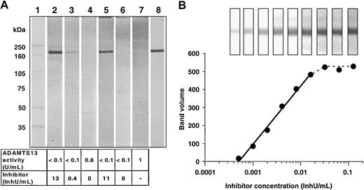 Figure 1. Immunoblot for detecting autoantibodies against ADAMTS13 in plasma samples. (A) Comparison of different plasma samples with a monoclonal anti–human ADAMTS13 antibody. Lane 1: molecular mass marker (full-range rainbow marker, Amersham Pharmacia). Lanes 2-4: plasma samples from a patient6 with antibody-induced TTP taken at different stages during her disease course. Lane 5: plasma sample from a patient with antibody-induced TTP. Lane 6: plasma sample from a patient with hereditary TTP. Lane 7: pooled normal plasma. Lane 8: monoclonal anti–human ADAMTS13 antibody applied in 1/1000 dilution. The plasma samples used for staining lanes 2-7 were diluted 1/200 with 20 mM Tris (tris(hydroxymethyl)aminomethane), 130 mM NaCl, pH 7.2 buffer, containing 0.05% (wt/vol) Tween 20 and 10% (vol/vol) blocker casein in Tris-buffered saline (TBS; Pierce, Rockford, IL). The bottom panel shows the ADAMTS13 activities and the inhibitor concentrations measured by the collagen-binding assay. (B) Quantitative evaluation of the immunoblots. The intensity of the ADAMTS13 bands in the Western blots developed with serial dilutions of a plasma sample from patient A were plotted against the applied inhibitor concentration. The inset shows the ADAMTS13 bands as they appeared on the immunoblots.
